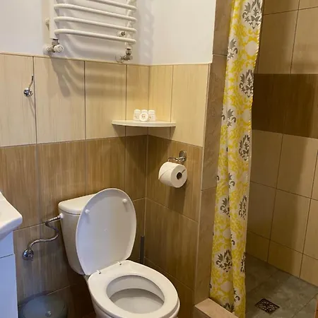 ゲストハウス Goscinne Przy Drodze