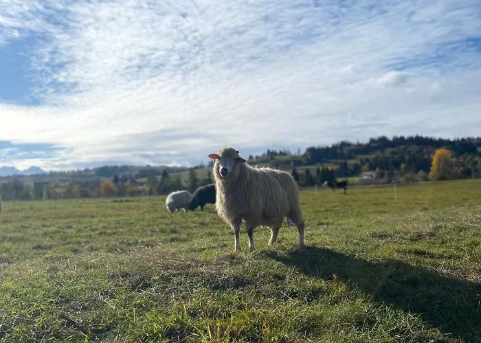 Gościnne Przy Drodze Pensjonat Białka Tatrzańska